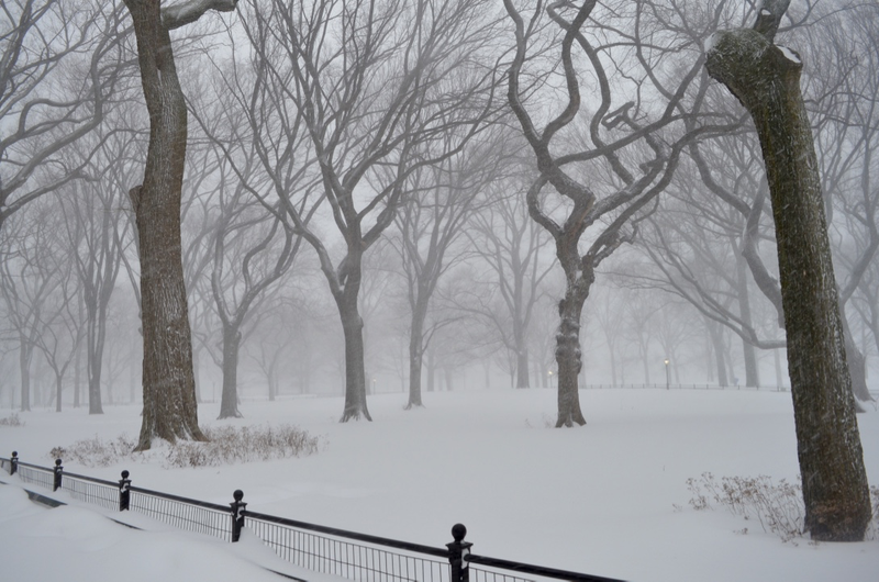 Illustration for article titled On the Ground in New York During a Blizzard